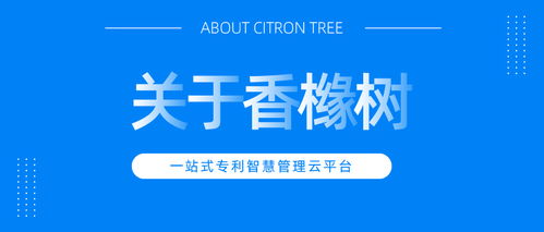 企業專利申請材料全指南 為何需要專業代理